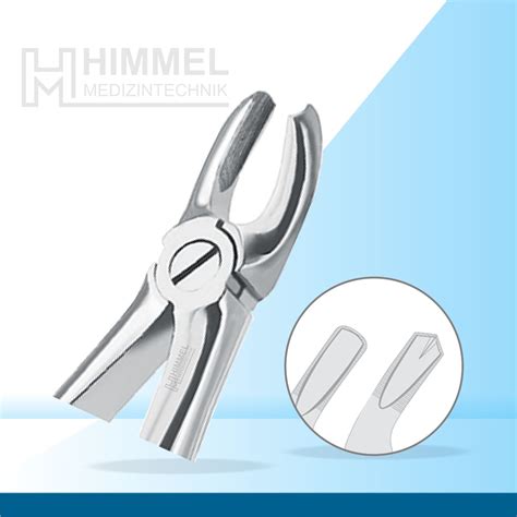 Lower Incisors Premolars Roots Himmel Medizintechnik