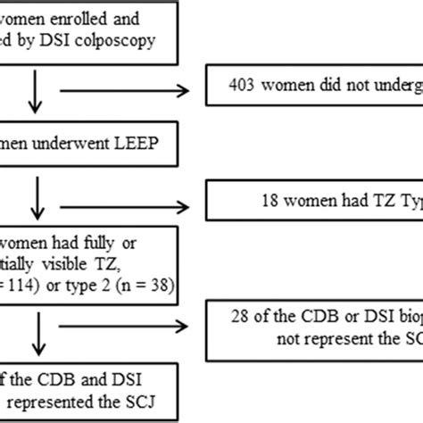 Participant Flow Diagram Cdb Colposcopydirected Biopsy Dsi Dynamic