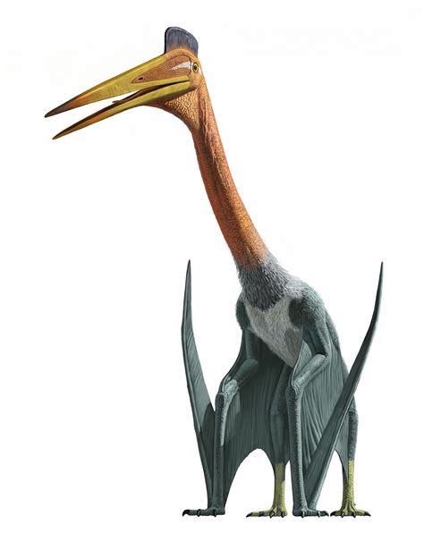 Quetzalcoatlus | Land Before Time Wiki | Fandom