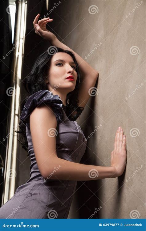 Elegant Girl In Grey Dress Stock Image Image Of Adult 63979877