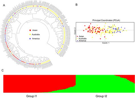 Genetic Diversity And Population Structure Analysis In A Large