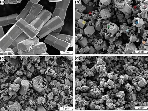 Sem Results Of The As Grown Ag Doped Zno A Pure B 0 5 Ag Doped Download Scientific Diagram