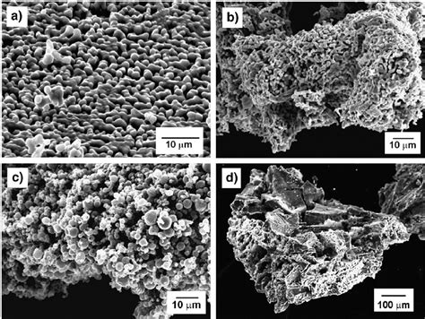 SEM Micrographs At Different Magni Fi Cation Of Samples A S1 B