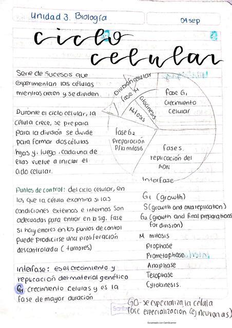 Mitosis Y Meiosis Unsis Perlcst Udocz