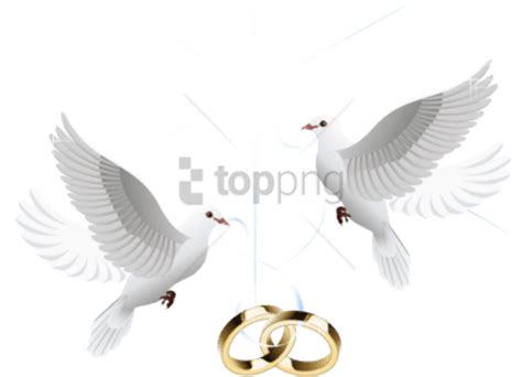 Free Png Wedding Doves With Rings Png Image With Transparent Wedding