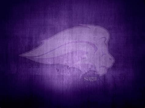 SAGU unveils new athletic logo