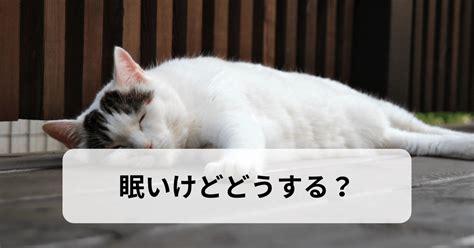 早起きしたんだけど眠いから対策はあるの？ 柏嵜税務会計事務所 東京都大田区を拠点に活動する税理士法人・個人の税務顧問スポット相談などに対応