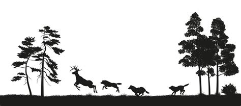 Forest Animals Silhouette Vector Images (over 32,000)