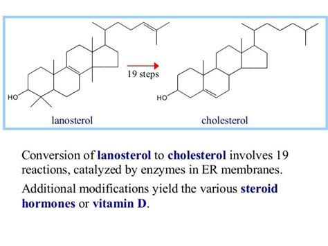 Biosynthesis Of Cholesterol Sir Khalid Biochem