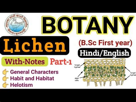 Lichens B Sc 1st Year Botany Lichen B Sc 1st Year Botany General