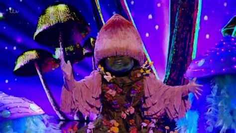 Masked Singer Fans Convinced Homes Under The Hammer Star Is Mushroom