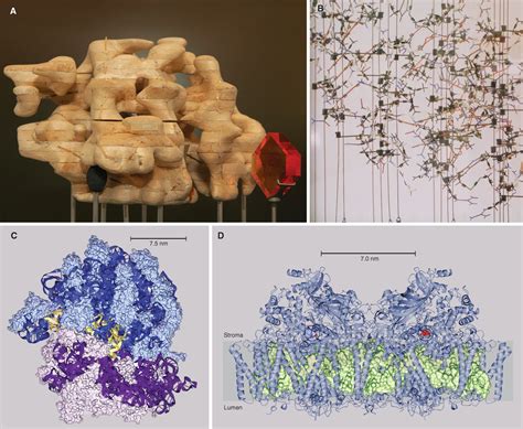 Developments In X Ray Crystallographic Structure Determination Of