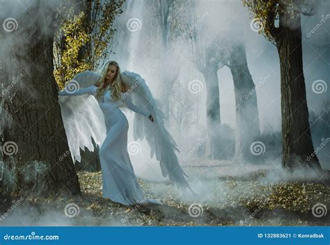 Portrait Of An Elegant Blond Angel Stock Image Image Of Dress