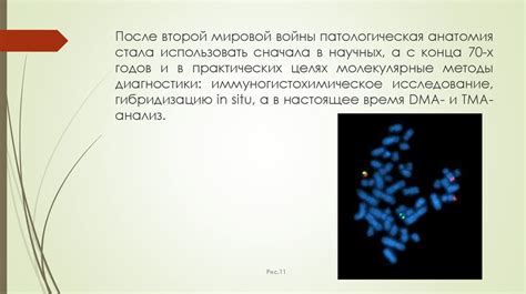 Возникновение патологической анатомии - презентация онлайн