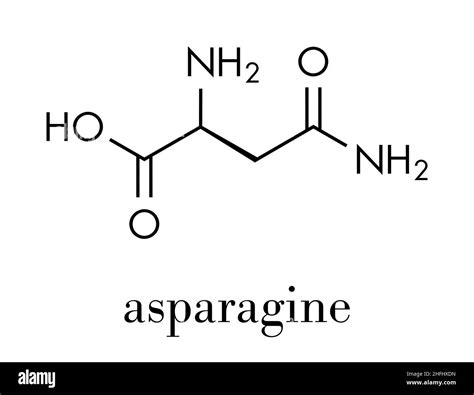 Asparagine Structure