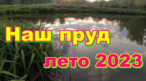 Наш пруд в деревне, летний обзор. - YouTube