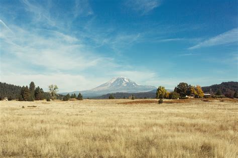 Free Images Landscape Tree Nature Outdoor Horizon Wilderness