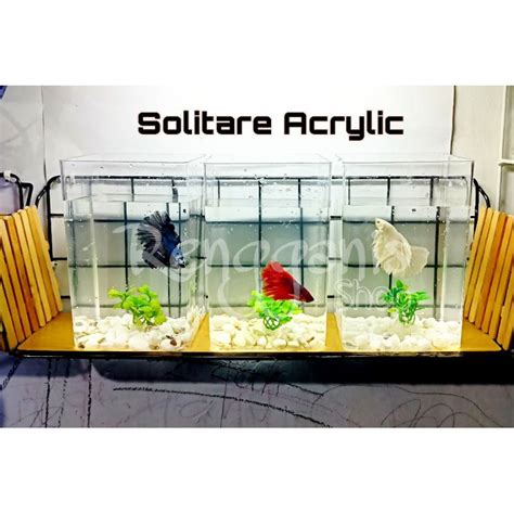 Jual Free Sekat Dan Tumbuhan Solitare Acrylic Akrilik Tanpa