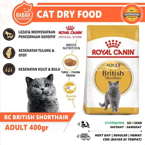 Jual Rc British Shorthair Adult Gr Royal Canin British Short Hair