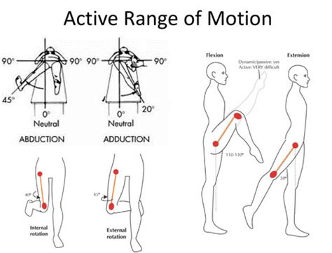 Msk Pelvis Hip Orthos Tests Flashcards Quizlet