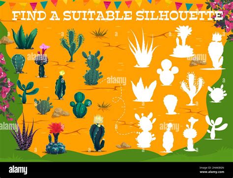 Encuentre Una Silueta Adecuada De Plantas De Cactus Mexicanas En La