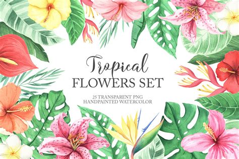 Watercolor Tropical Flowers PNG Clipart Lupon Gov Ph