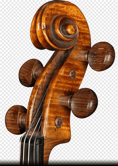 Violone Violoncelo Violoncelo Alessandro Ciciliati Viola Violino