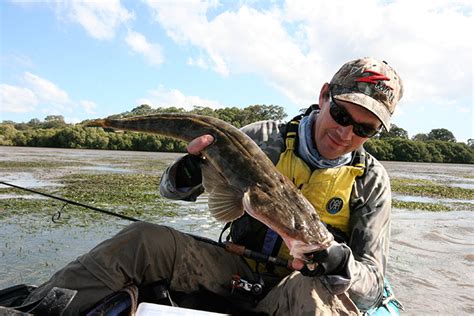 Finding Flathead Tackle Tactics