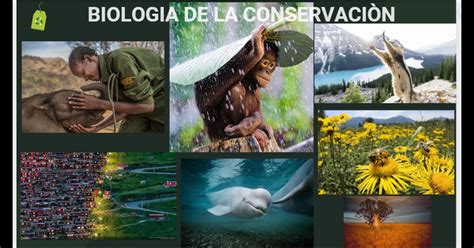 Pechakucha Presentation Biología De La Conservación