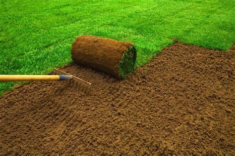 Sod Installation Expert Landscapers In Snohomish And Surrounding Areas