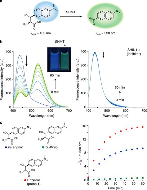 Fluorescent Probe Targeting Hshmt A Schematic Illustration Of Hshmt Download Scientific