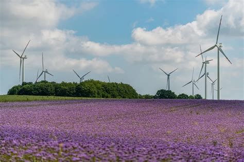 Tauron S New Photovoltaic Farm To Be Connected To An Existing Wind Farm