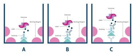 Block Diagram Of Elisa Reader