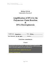 Mastering Pcr Dna Electrophoresis In Contemporary Biology Course Hero