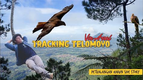 Hiking Puncak Ismoyo G Telomoyo Via Arsal Petualangan Harun Episode