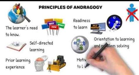 Andragogy The Key To Effective Adult Education By Tips Degree Sep