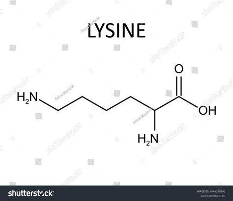 Lysine Chemical Formula Vector Editable Stock Vector Royalty Free 2040539993 Shutterstock