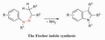 Fischer Indole Synthesis Definition Reaction Mechanism Drawbacks