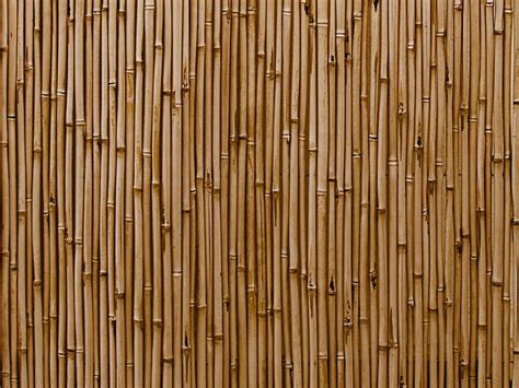 30 Diy Bamboo Wall Decor Ideas Will Make Your Home More Eco Friendly