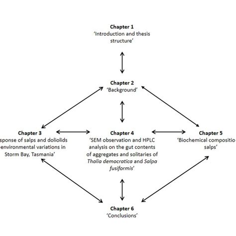 2. The life cycle of salps (from Alledredge and Madin 1982) | Download ...