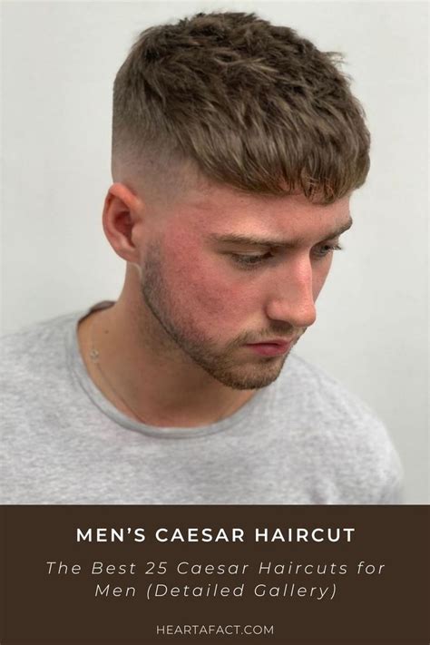 The Best 25 Caesar Haircuts For Men Detailed Gallery Heartafact In