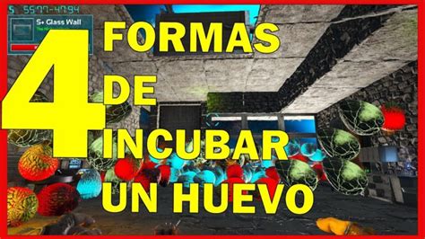 Guía completa para incubar huevos en ARK todo lo que necesitas saber