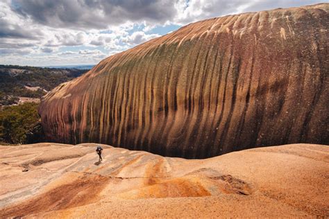 Offtrack In Girraween Np Reuben Nutt Photographer