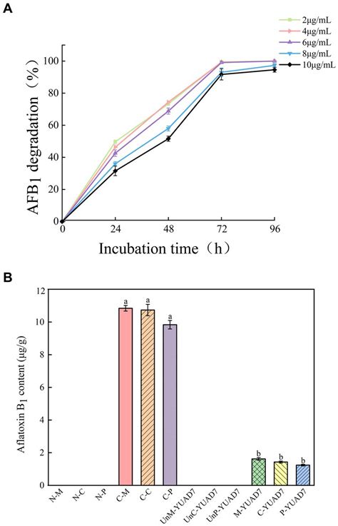 Frontiers Screening And Identification Of An Aflatoxin B1 Degrading