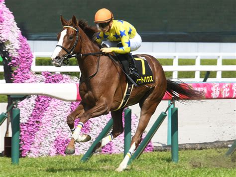 【中山牝馬s想定騎手】アートハウスは川田将雅騎手、クリノプレミアムはmデムーロ騎手 2023年3月6日掲載 ライブドアニュース