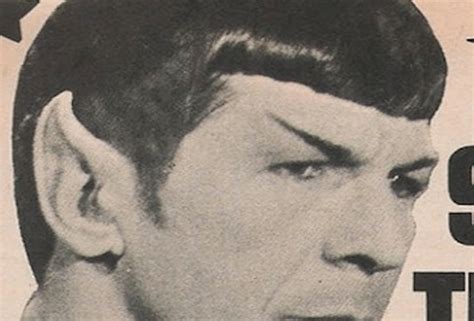 Spock Gives Teenage Girl Advice About Bullies Entire Internet Has A