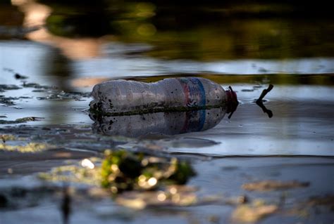 Plastica Via Libera DellOnu A Un Trattato Mondiale Contro L