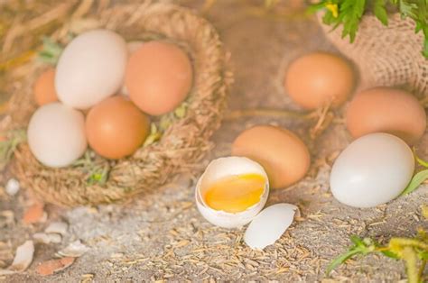 Plusieurs œufs De Poule Qui Sont Placés Sur Une Belle Botte De Foin à