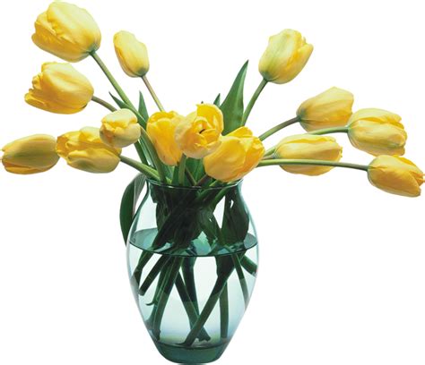 Flower Vase Images Png Best Flower Site