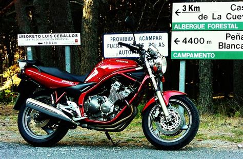 My Naked Redhead XJRider